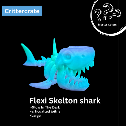 Glow in the Dark Skeleton Shark